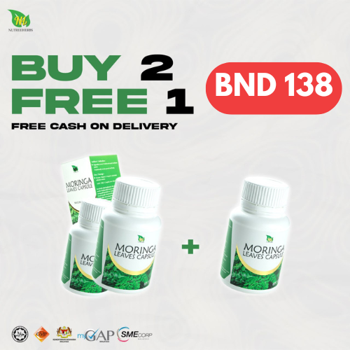 2 FREE 1 BOTOL MORINGA